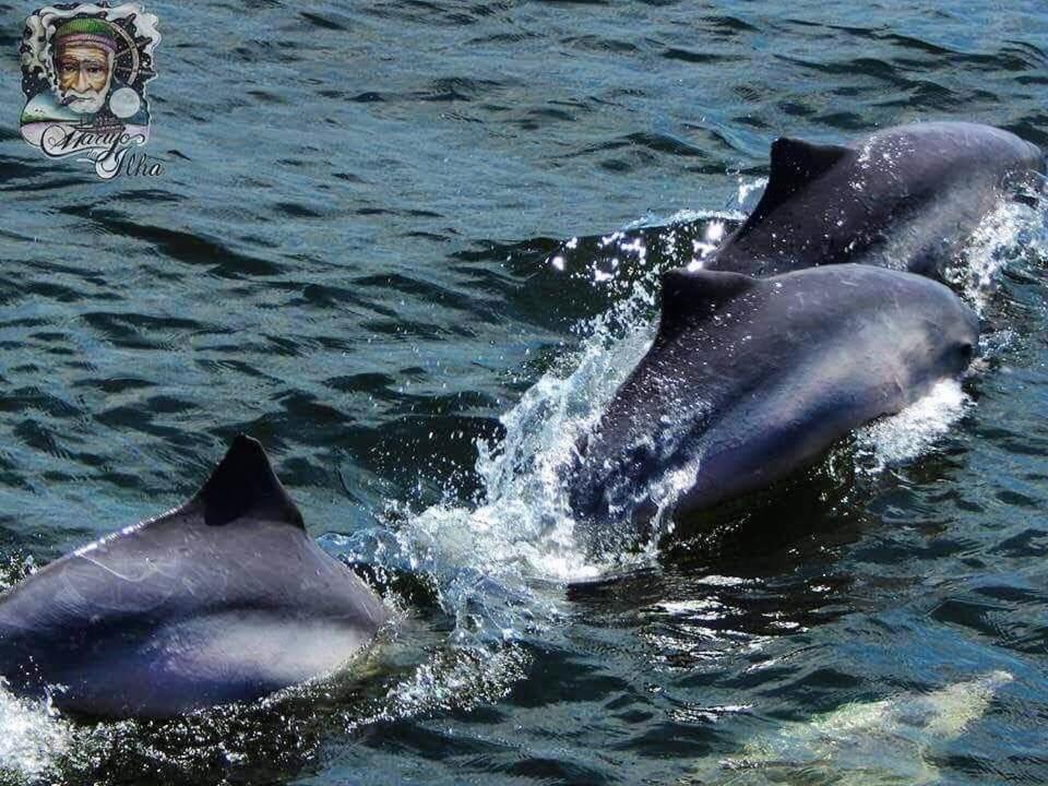Pousada Del Mar Ilha Comprida Εξωτερικό φωτογραφία
